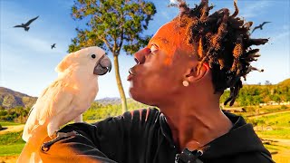 IShowSpeed: Speed Stream Moment