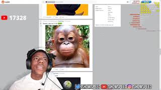 IShowSpeed: Speed Stream Moment